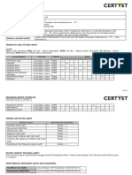 Certyst - Program Audit Internal R0