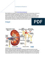 Biologi - Sistem Ekskresi Pada Manusia