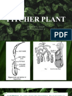Pitcher Plant: Cannery S. Oleza Bs Psychology 3