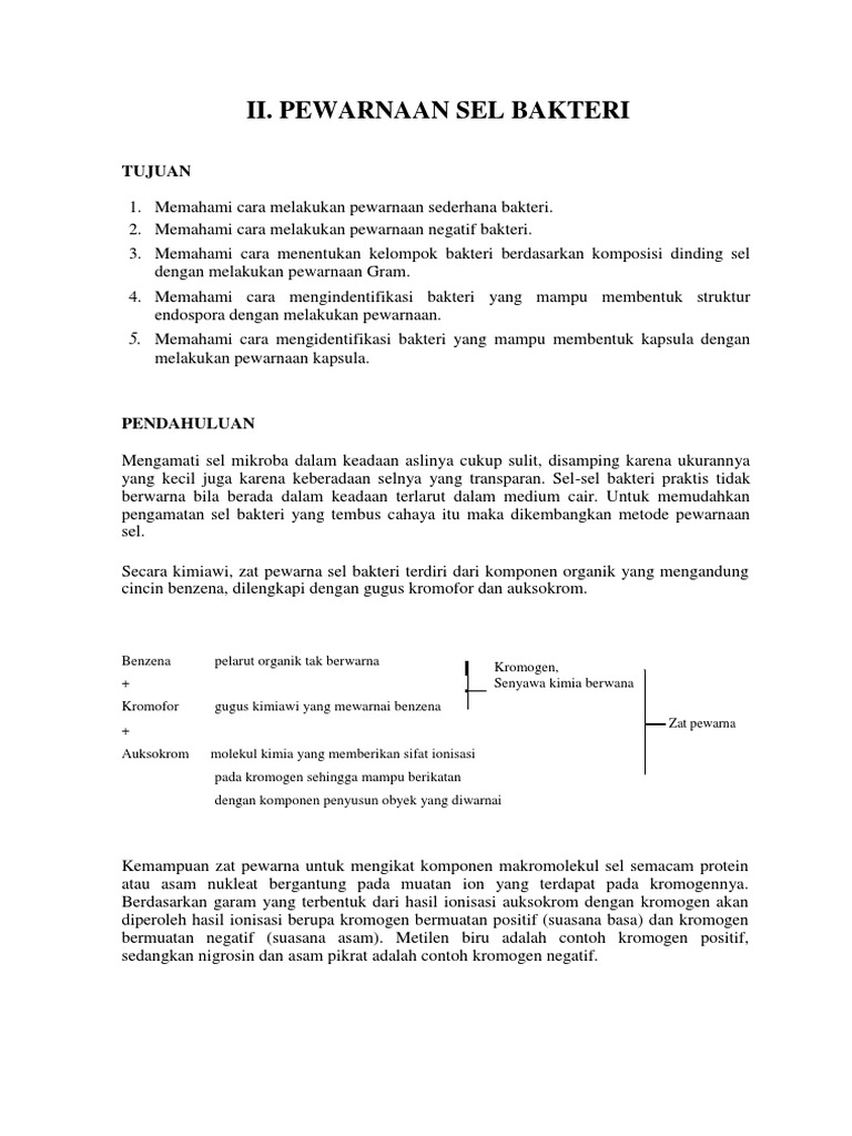 Mempelajari Teknik Pewarnaan Bakteri | PDF