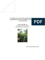 Segunda Parte El Güisisil y El Palo de Hule, Especies Vegetales Indispensables para La Marimba Guatemalteca