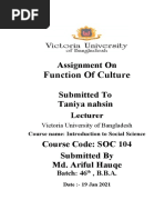 Function of Culture: Assignment On