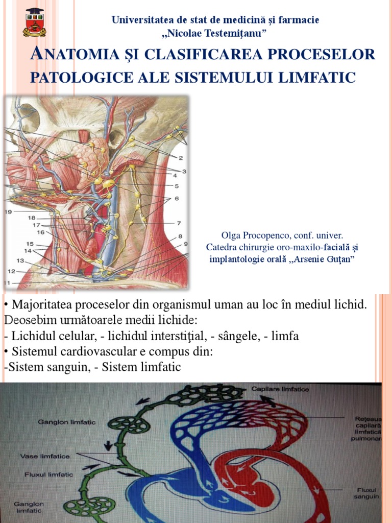 Anul 3. Anatomia Sistemului Limfatic | PDF