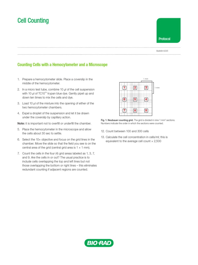 Cell Counting: Counting Cells With A Hemocytometer and A Microscope ...