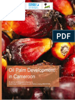 Oil Palm Development in Cameroon: April