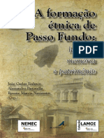 A Formacao Etnica de Passo Fundo Histori