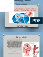 Avc Ischemic Silvian Stang