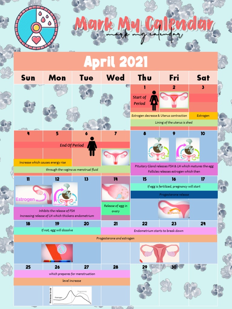 mark-my-calendar-pdf-menstrual-cycle-puberty