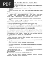 Sbornik Uprazhneniy Po Grammatike Ispanskogo Yazy | PDF
