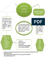 Evaluacion Administrativa de Los Servicios de Anatomia Patologica