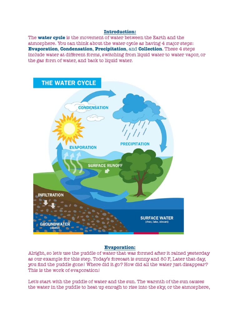 The Water Cycle | PDF | Water Cycle | Water Vapor