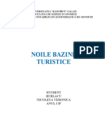 Tema Geografie - Noile Bazine Turistice