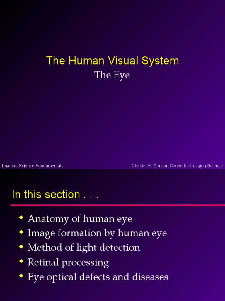 Introduction to Human Eye Anatomy | PDF | Eye | Human Eye