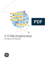2D Electrophoresis
