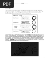 Blood Notes and Activity KEY