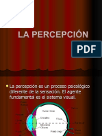 Bases de La Percepcion