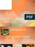 Diversidad Animal: Características de 5 Filos