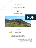Cerro Del Gallo Pre Feasibility Report FINAL 31jan2020 Web