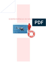 Sobrevivência no Mar