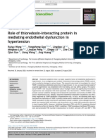 Role of Thioredoxin-Interacting Protein in Mediating Endothelial Dysfunction in Hypertension