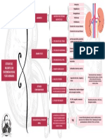 Estudio Del Paciente Con Enfermedad Renal y Vías Urinarias