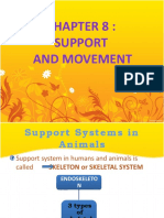 Support System in Animals and Plants