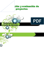 Estructura de Un Estudio de Mercado