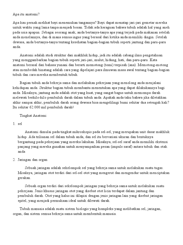 Apa Itu Anatomi PDF