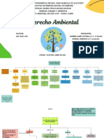 Mapa Conceptual - Ambiental Tema 1,2,3