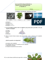 4º Básico Ev. Diagnóstico CIENCIAS