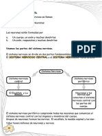 Ciencias Naturales Grado Noveno 12