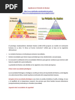 Significado de Pirámide de Maslow 13 Necesidades Importantes Bienestar