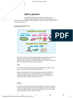 Virus, Viroides y Priones - Escolar - ABC Color