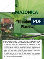 amazonicas