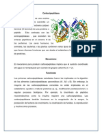 Carboxipeptidasa: enzima que escinde enlaces peptídicos C-terminales