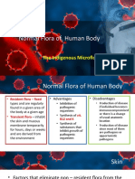 Normal Flora of Human Body