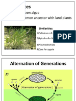 Freshwater Green Algae Share Last Common Ancestor With Land Plants