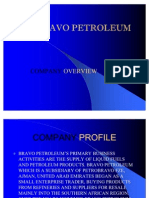 Bravo Petroleum Profile