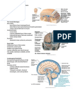 Brain_Protection_and_Disorders_Handouts