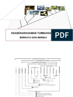 Keanekaragaman Tumbuhan Berkayu Dan Berbiji - En.id