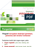 Fitografi