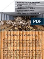 Propiedades y exportación de la guadua colombiana