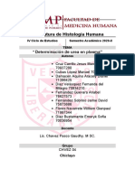 Informe 12 Bioquímica Práctica