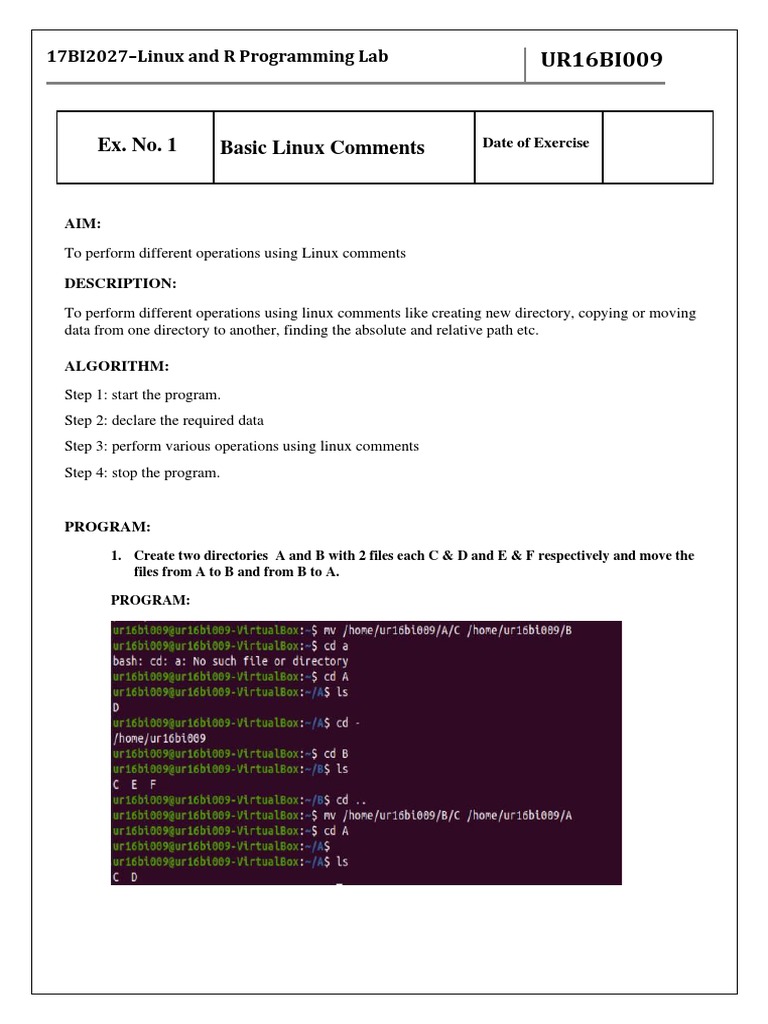 Linux Comments Operations Lab Guide | PDF | Art | Technology & Engineering