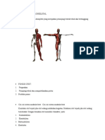 Resume Sistem Muskuloskeletal Kel 6