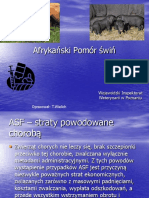 ASF- afrykański pomór świń 