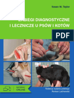Zabiegi Diagnostyczne I Kliniczne U Psow I Kotow