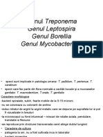 Familia Spirochetaceae - Genurile Treponema, Leptospira şi Borrelia. Mycobacterium tuberculosis.