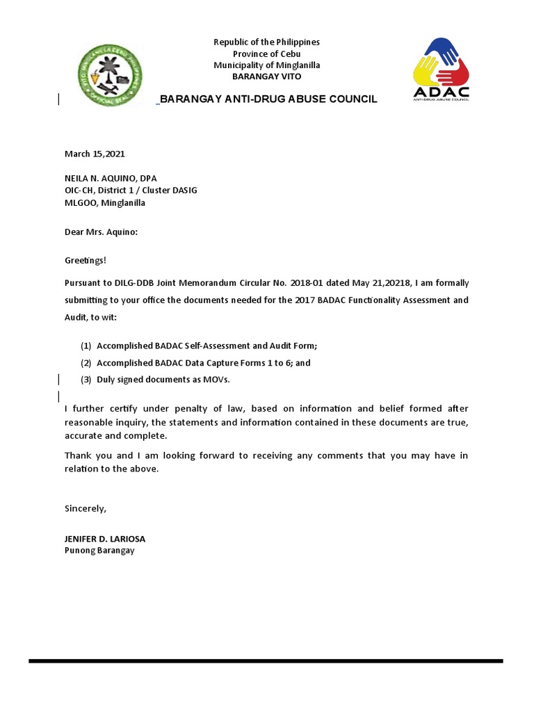 BADAC Functionality Assessment Submission | PDF