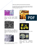 10 Bakteri Merugikan